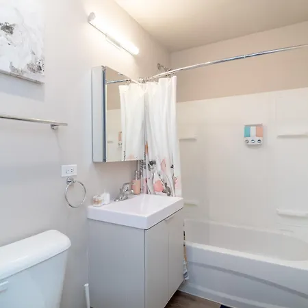 Chic South Loop 2br With Gym And Optional Parking Near Grant Park, Mccormick Place, Museum Campus & Downtown