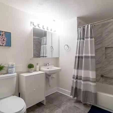 Elegant South Loop With Optional Parking And Gym Access Walk To Mccormick Place & Field Museum Apartment *