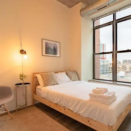 Stylish 2br With Optional Parking & Gym Access Near Lakefront, Shedd Aquarium And Mccormick Center Apartment Chicago