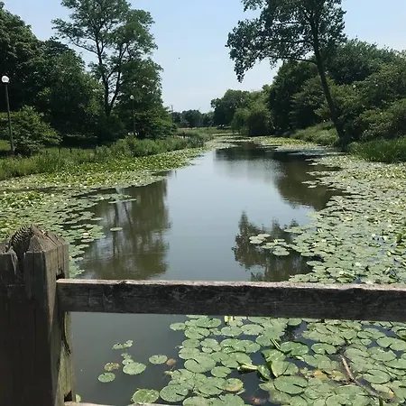 Modern Oasis Near Park, Pet Friendly, Fast Wi-fi. Apartment Chicago