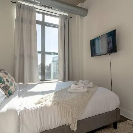 Apartment Downtown 2br Getaway South Loop Comfort Near Mccormick Place, Soldier Field And Grant Park Chicago