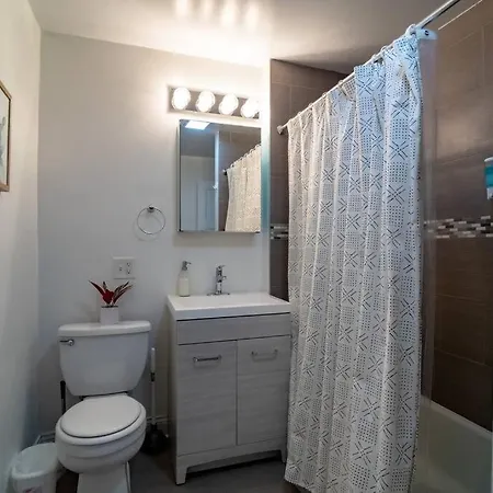 Apartment Luxury 5br South Loop With Pool Table And Optional Parking Near Mccormick Place, Field Museum And Soldier Field Chicago
