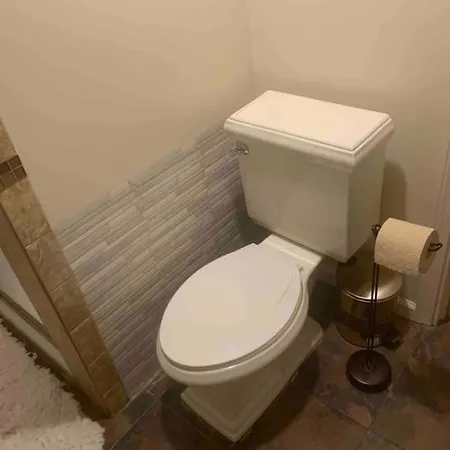 Apartment Entire 1 Bedroom Floor Unit With Patio Chicago