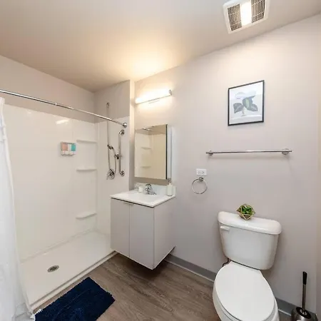 Apartment Spacious 2br In South Loop With Optional Parking, Gym And Patio Near Mccormick Place, Grant Park, Soldier Field & Museum Campus Chicago