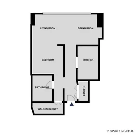 Apartment Streeterville W Gym Pool Nr Navy Pier Chi-445