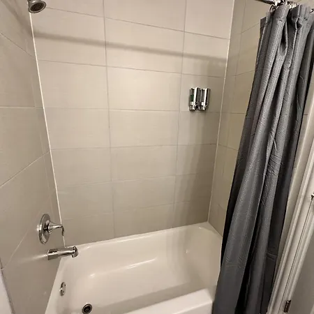 West Town Hideaway Sleeps 18 With Parking! Chicago