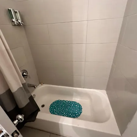 West Town Hideaway Sleeps 18 With Parking! Chicago