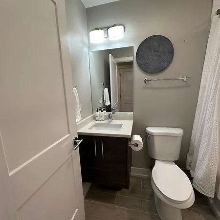 Modern Sfh Near Mccormick Place & Soldier Field * Chicago