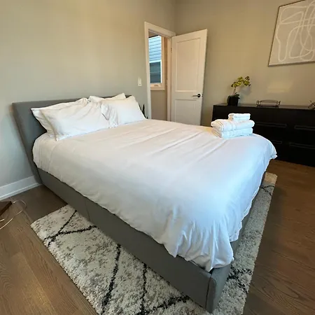 Modern Sfh Near Mccormick Place & Soldier Field Holiday home Chicago