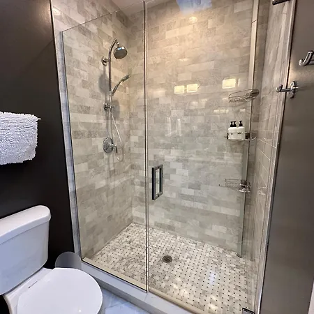 Modern Sfh Near Mccormick Place & Soldier Field * Chicago