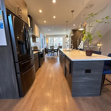 Modern Sfh Near Mccormick Place & Soldier Field