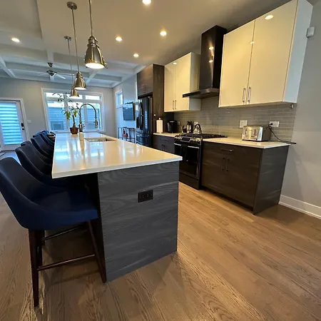 Modern Sfh Near Mccormick Place & Soldier Field Holiday home *