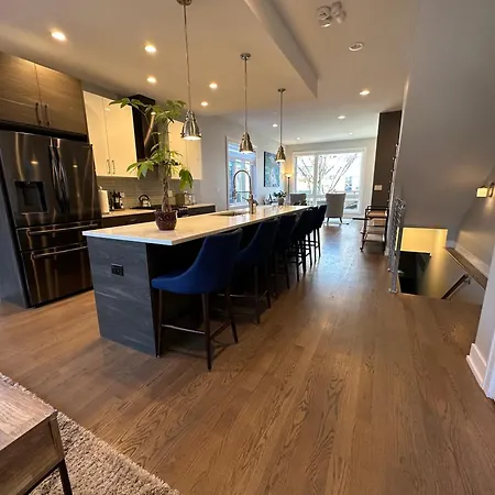 Modern Sfh Near Mccormick Place & Soldier Field Holiday home Chicago