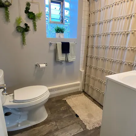 Hidden Oasis In The Heart Of Lakeview