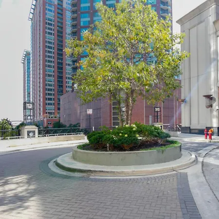 Apartment Streeterville Jr 1br W Steam Nr Riverwalk Chi-999 Chicago