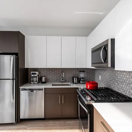 Apartment S Loop W Gym Pool Wd Nr The L Chi-185 Chicago