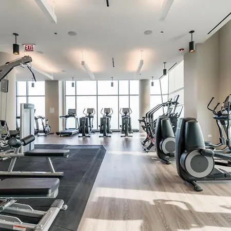 Apartment S Loop W Gym Pool Wd Nr The L Chi-185