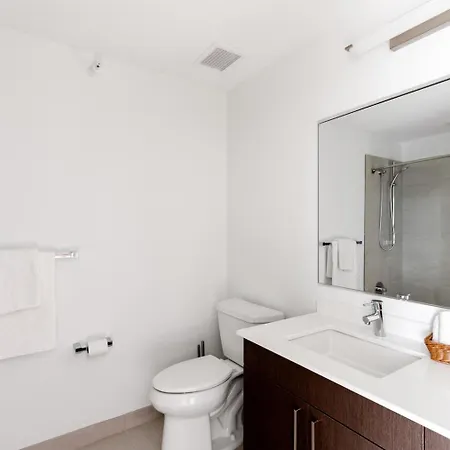 S Loop W Gym Pool Wd Nr The L Chi-185 Apartment Chicago