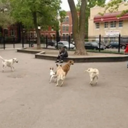 Well-appointed Cozy Portage Park Apt, Dogs, Kids, Free Parking, 420 Compliant * Chicago