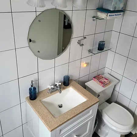 Well-appointed Cozy Portage Park Apt, Dogs, Kids, Free Parking, 420 Compliant *