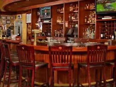 Hotel Hilton Garden Downtown/magnificent Mile 3*
