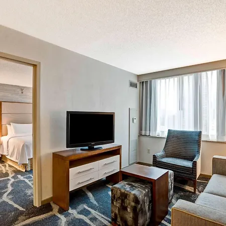 Homewood By Hilton Chicago-downtown