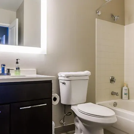Apartment 3b/3b Skyloft With Navy Pier View Gym & Pool By Envitae