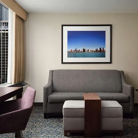 Homewood By Hilton Downtown - Magnificent Mile 3* Chicago