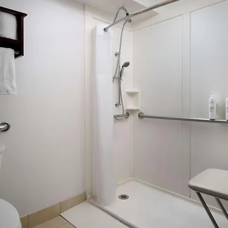 Hotel Hampton Downtown/magnificent Mile 3*