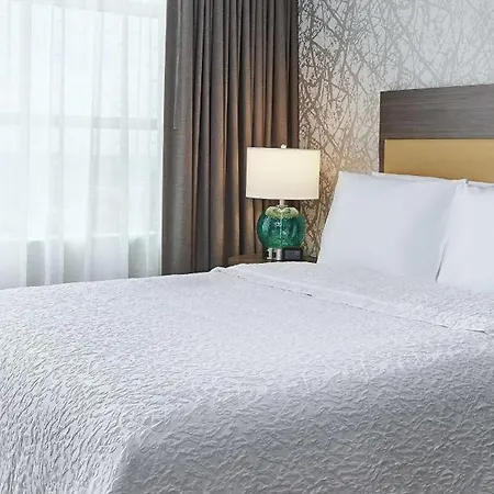 Home2 By Hilton Mccormick Place 3*