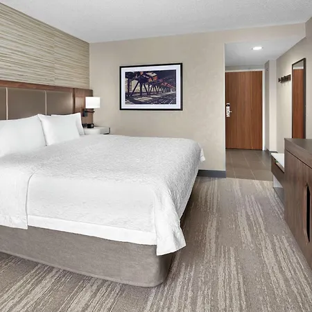 Hampton & Chicago-downtown 3*