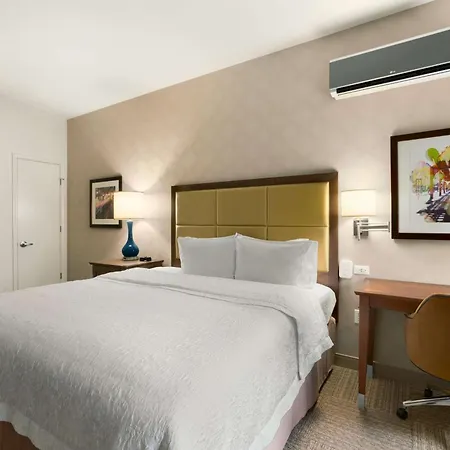 Hampton Downtown/n Loop/michigan Ave Hotel 3*
