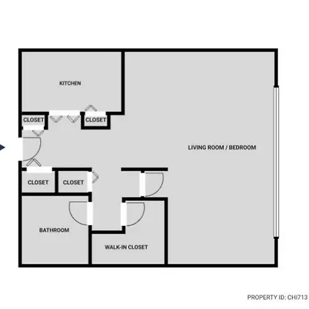 Lakeview Studio W Pool Gym Nr Lincoln Park Chi-713 * Chicago
