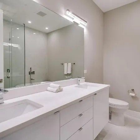2 Newly Built Luxury With Private Roofdeck Chicago