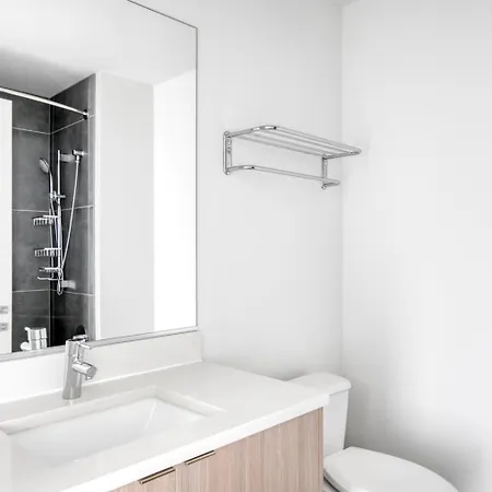 Apartment South Loop W Pool Gym Nr Grant Park Chi-857