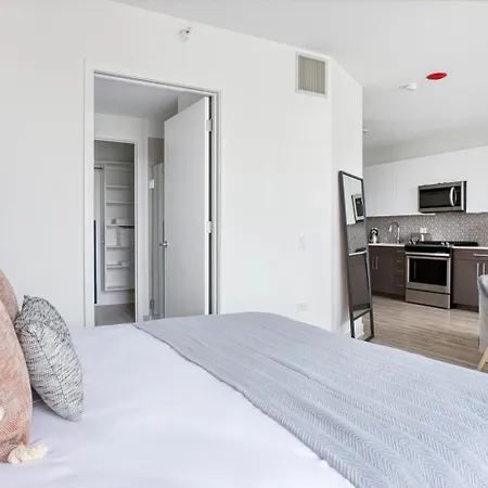 Apartment S Loop W Pool Gym Roof Nr L Chi-430