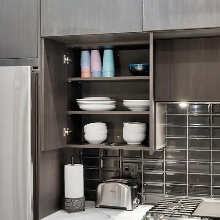 Chic River North 2br 2ba With Private Balcony Apartment Chicago