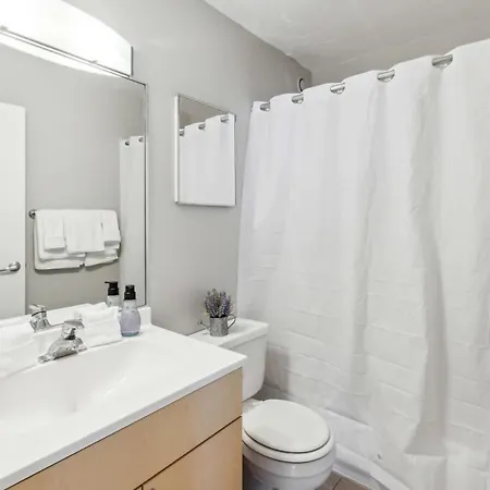 2br Modern South Loop With Views & Gym Apartment *