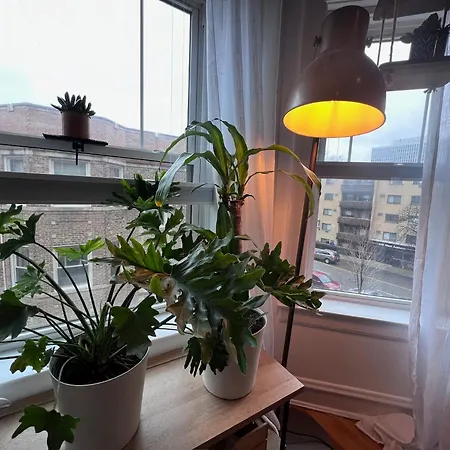 Lakeside Loft - Historic Chicago
