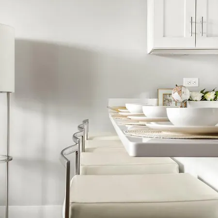 Classic Near United Center And Downtown Apartment