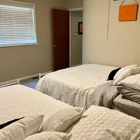 Designer Themed 4 Bedroom In Location With Patio And Fireplace Chicago