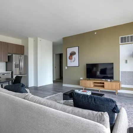 Apartment Streeterville 1br W Party Nr Navy Pier Chi-1002 *