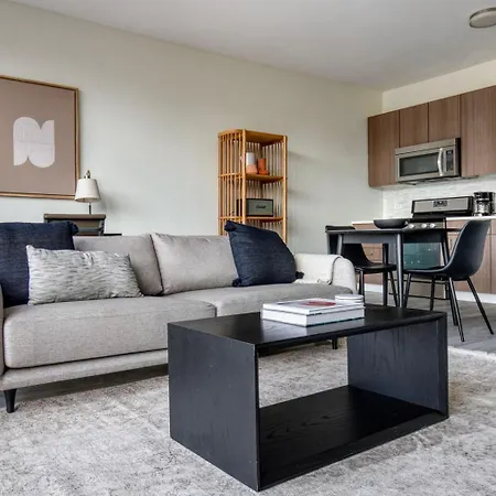 Streeterville 1br W Party Nr Navy Pier Chi-1002