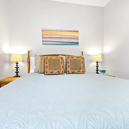 Newly Rehabbed Greystone With 2 Private Apartments, Backyard, Garage, Laundry, Close To Expressway Apartment