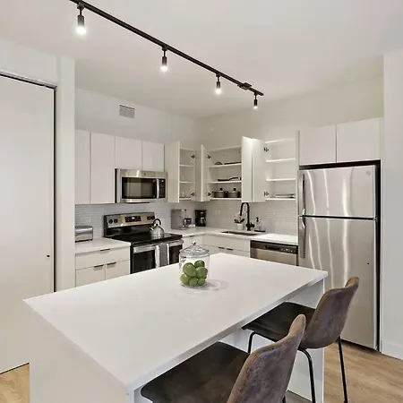 1br Spacious & Trendy Apt In - Chestnut 15b Apartment Chicago