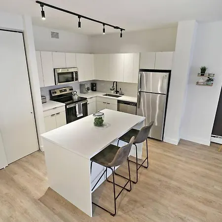 1br Spacious & Trendy Apt In - Chestnut 15b *