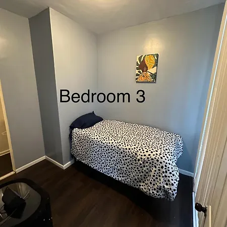 Cozy Spacious 3br Theater Apartment Chicago