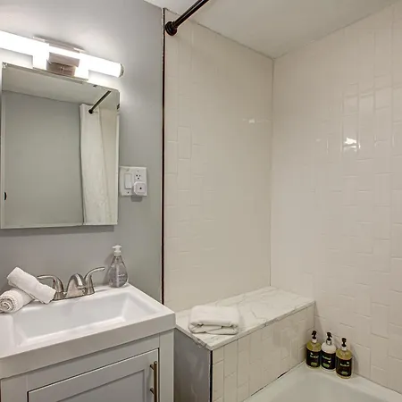 Pet Friendly! Perfect For The Digital Nomad Or Business Traveler Apts * Chicago
