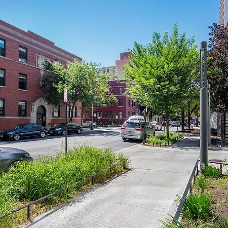 Lakeview 1br W Wd Gym Nr Lakefront Trail Chi-203
