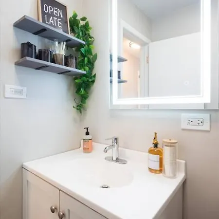 Cute 2 Bedrooms - 12 Min From Downtown Chicagi * Chicago